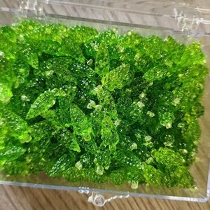 Beadtopia Green Grape Vines Acrylic Fruit Beads Crafts Arts NWT Jewelry